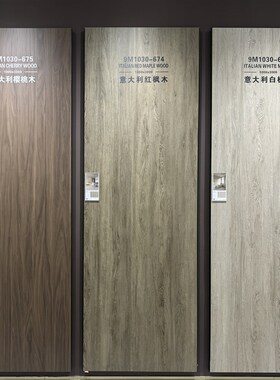 1000x3000柔光岩板背景墙别墅电视背景墙砖客厅地砖复式楼背景