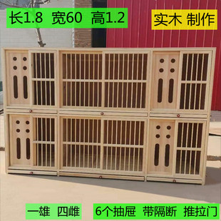 养鸽子笼 大型一雄多雌一配多配对笼家用大型鸽子笼台式配对笼