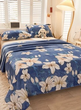 礼礼法披肩学生加VOO8566厚销单幼儿纯素毛厚毯床厂礼品毛毯外季