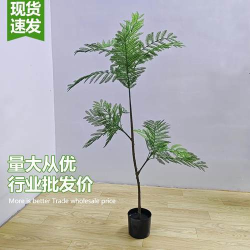 仿真绿植蓝花楹室内盆栽大型仿生植物假树高端轻奢客厅装饰品摆件