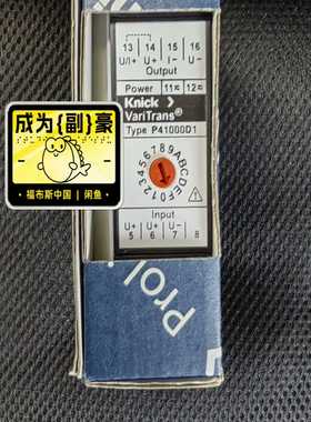 P41000D1，德国科尼可，Knick隔离放大器，询价