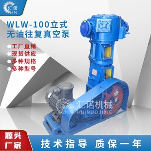 往复真空泵往复泵WLW 往复真空泵无油真空泵WLW型无油立式 100
