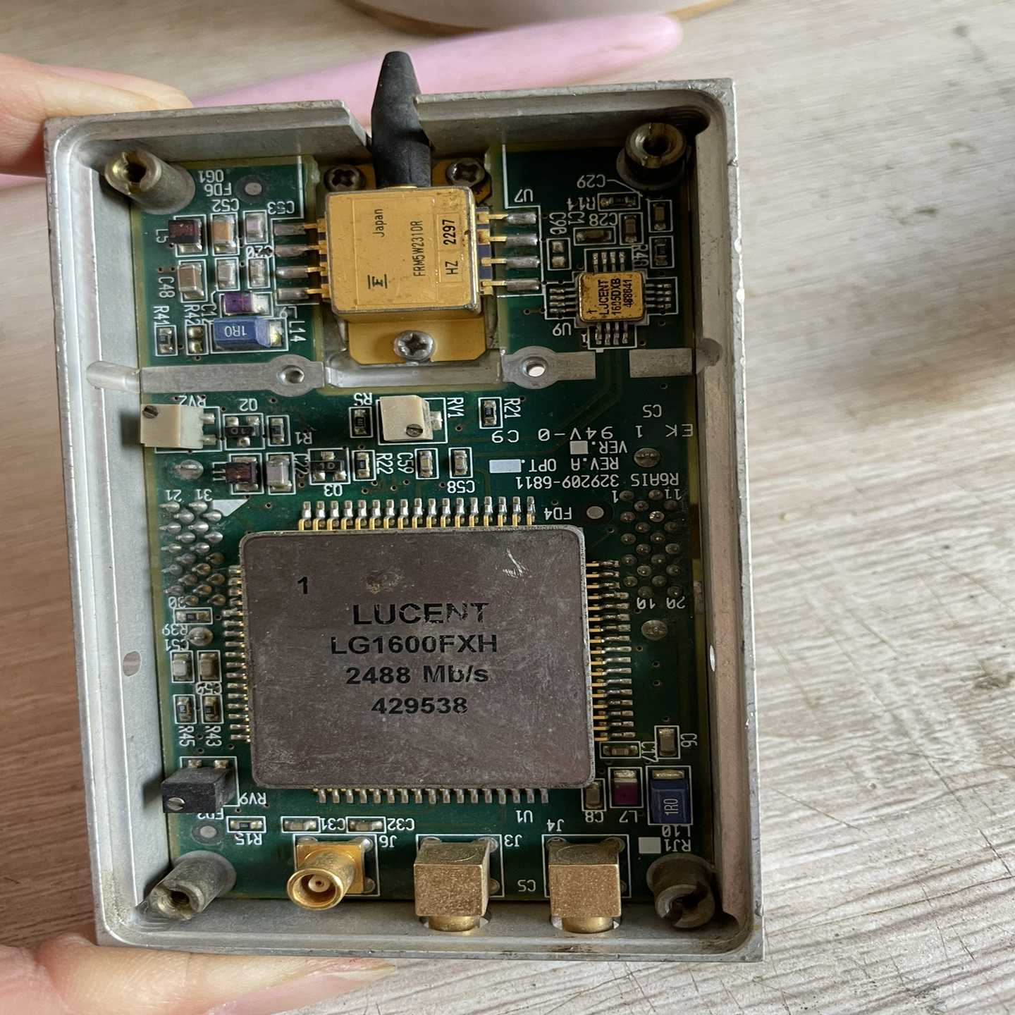 LUCENTLG1600FXH2488Mb/s钢面芯片--议价商品