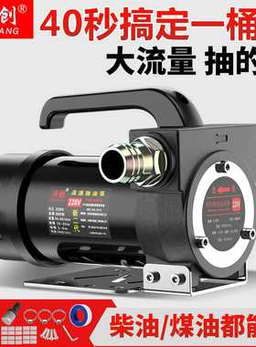 油抽子电动抽油泵12v24v220v柴油泵小型抽油机加油神器加油自吸泵