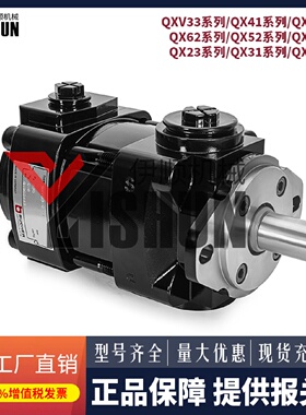 布赫双联齿轮泵QX42/33/23/22005006020025032250液压油泵