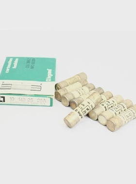 19PcsLegrand14325Fusible14x5125AgF(B932)