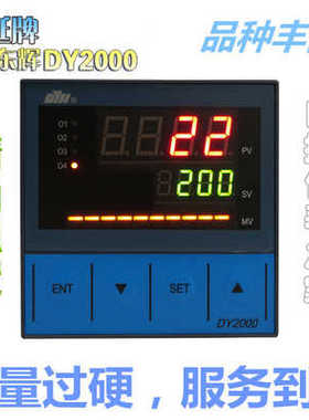 福建东辉智能仪表 DY21AI22P自整定PID调节器DY29AI22P PID控
