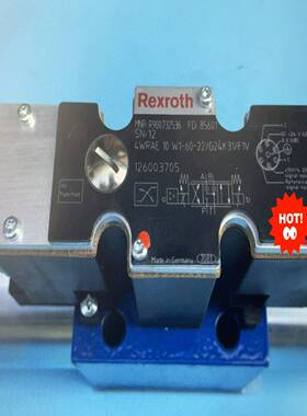 R9007325364WRAE10W1-60-2X/G24适用