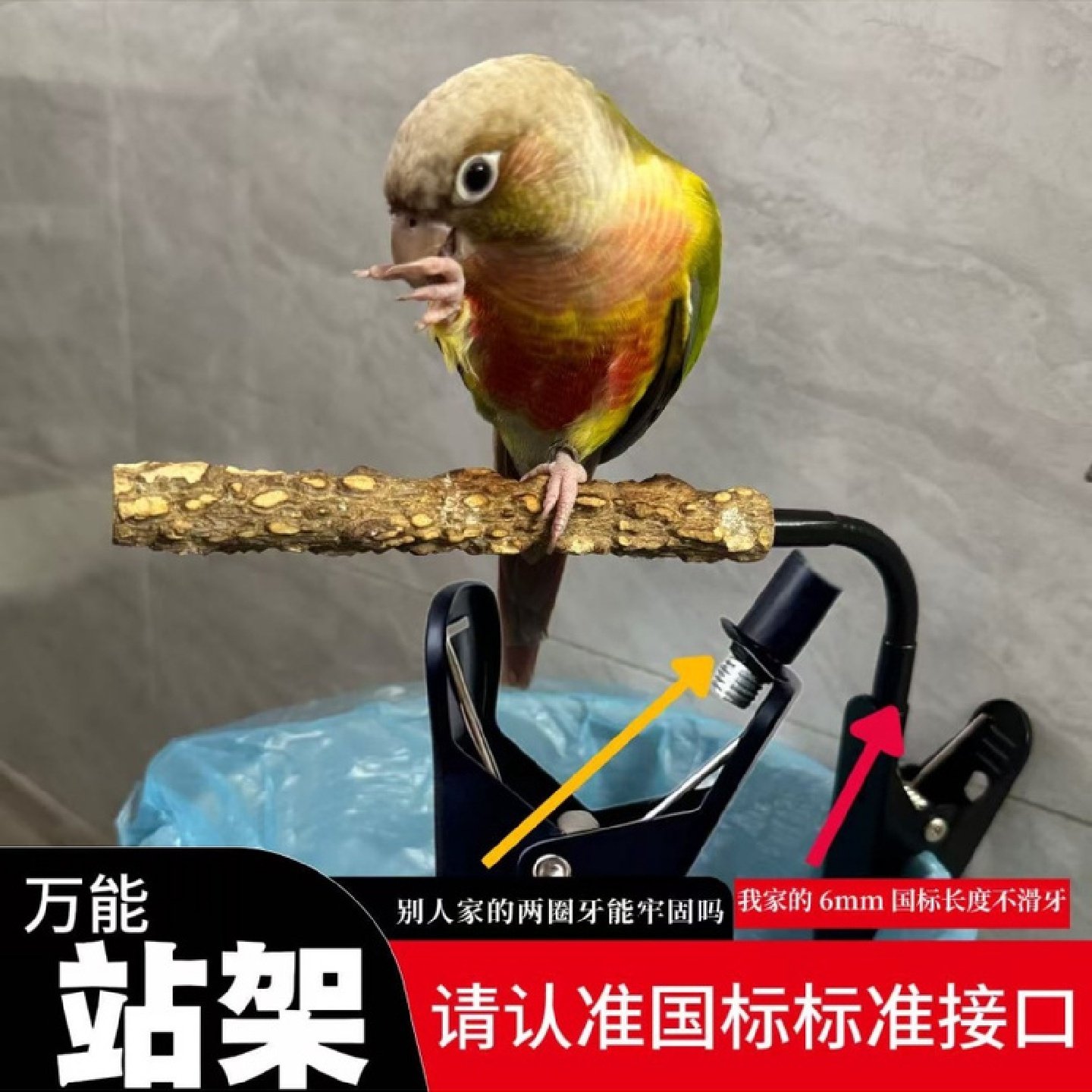 鹦鹉站杆排便站架垃圾桶多功能夹子训练花椒木耐咬磨嘴爪厕所拉粑,宠物/宠物食品及用品,鸟禽其他,淘宝优惠券,粉丝福利购,淘宝优惠卷