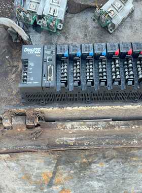 光洋KOYODirectLogic205PLC套装，--议价商品