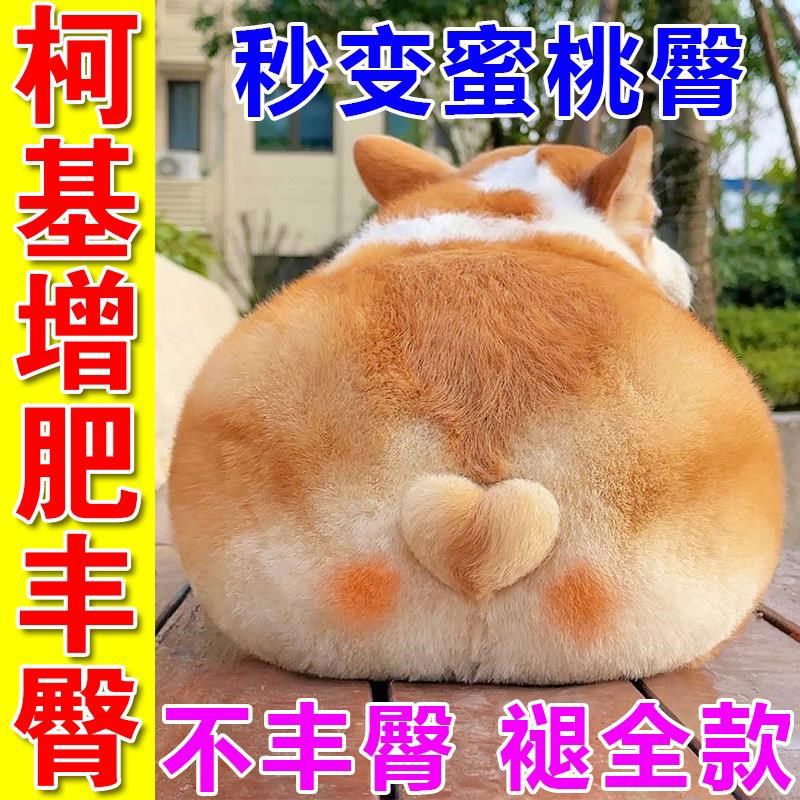 柯基增肥发腮柴犬丰臀狗狗增肥长肉调理肠胃补充营养维生素益