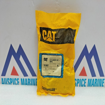 Caterpillar1S1837ZylinderReparatursatz