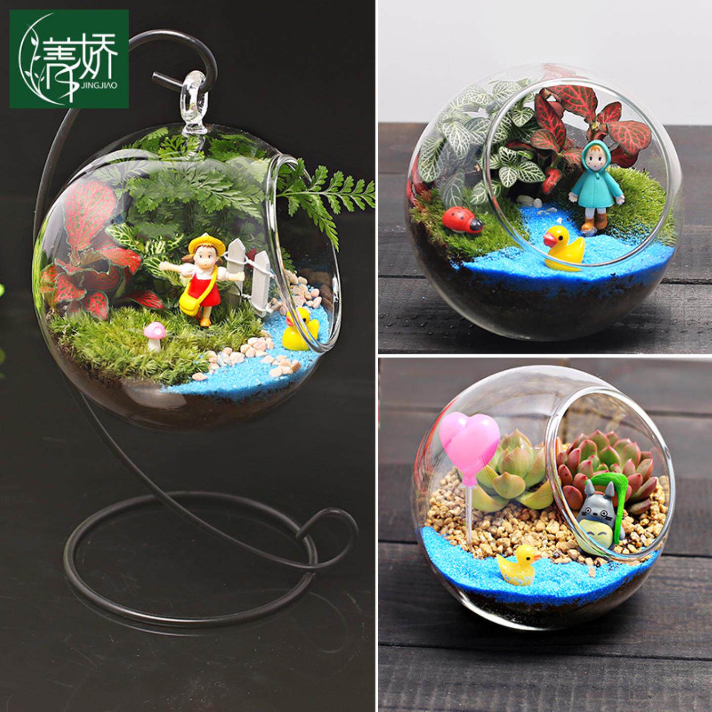趣味苔藓多肉肉迷你绿色植物玻璃微景观盆栽组合 生态瓶diy材