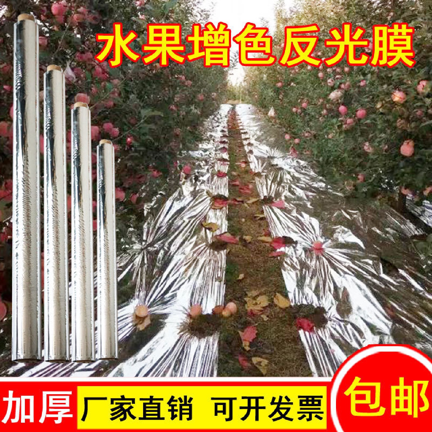 苹果大棚专用反光膜农用果树果园地膜葡萄桃增色双面上色增温温室