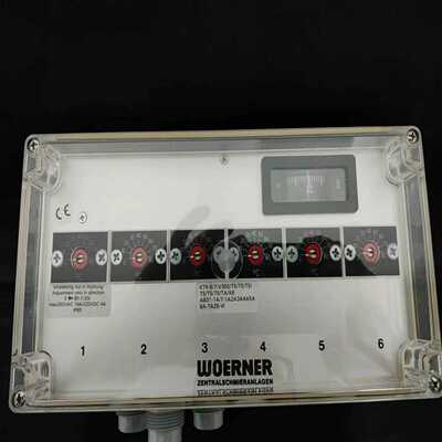 WOERNER/威纳温度控制器探头询价