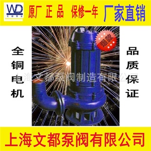 3不锈钢铸铁自动搅匀潜水排污泵 专业生产JYWQ JPWQ80