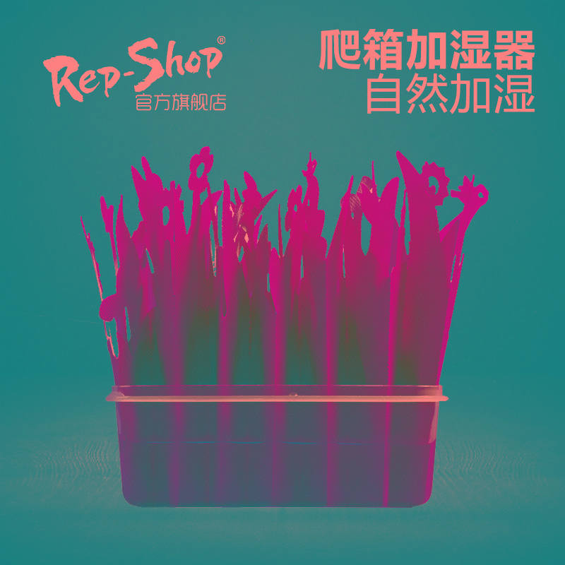 爬虫自然加湿器爬宠陆龟蜥蜴守宫饲养箱增湿保湿环保加湿草造景