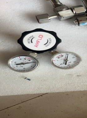 敦阳AMFLO减压阀R11BG-DIG-00-00成色如询价