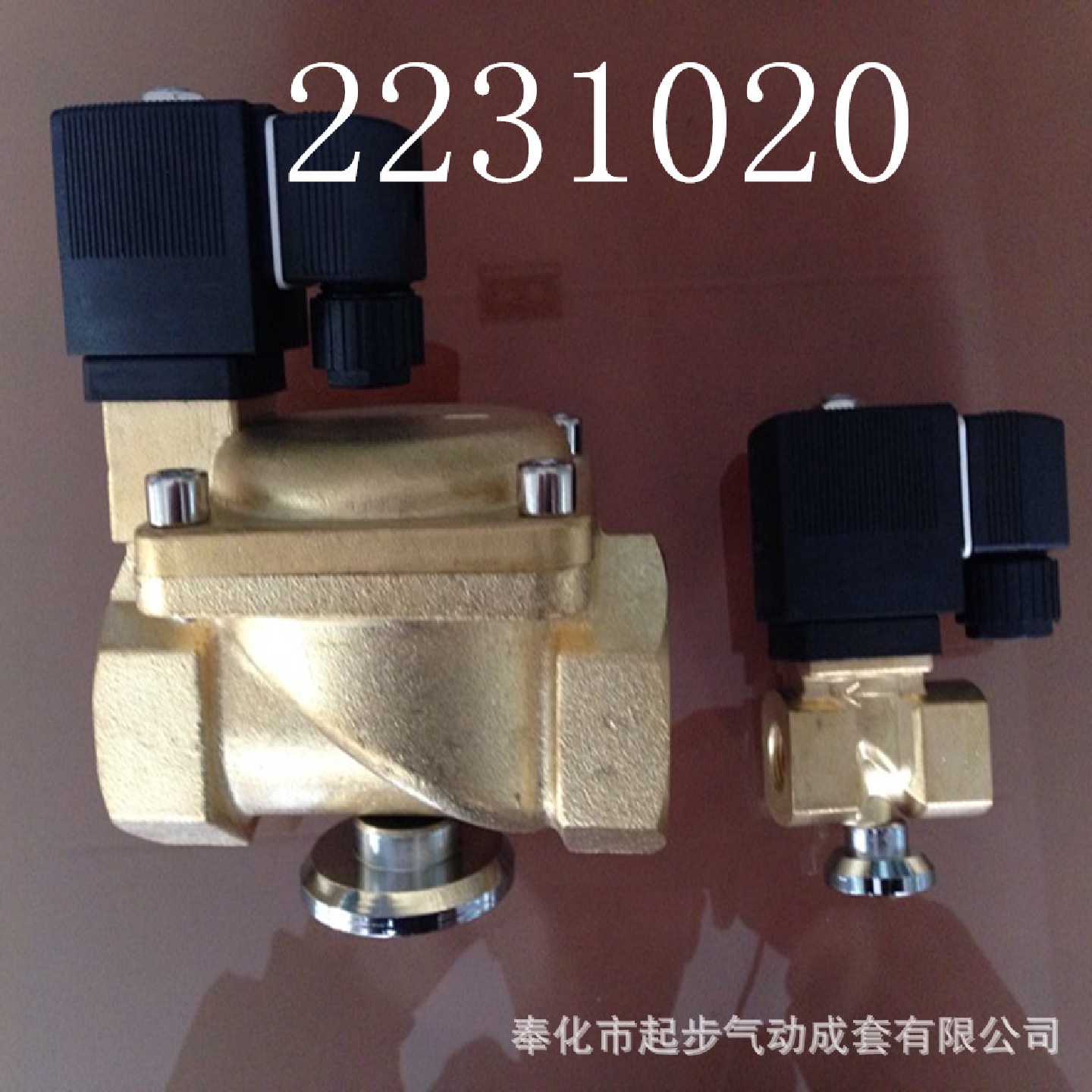 22310206213-066分宝德型直动式电磁阀水阀油阀AC220VDC24V