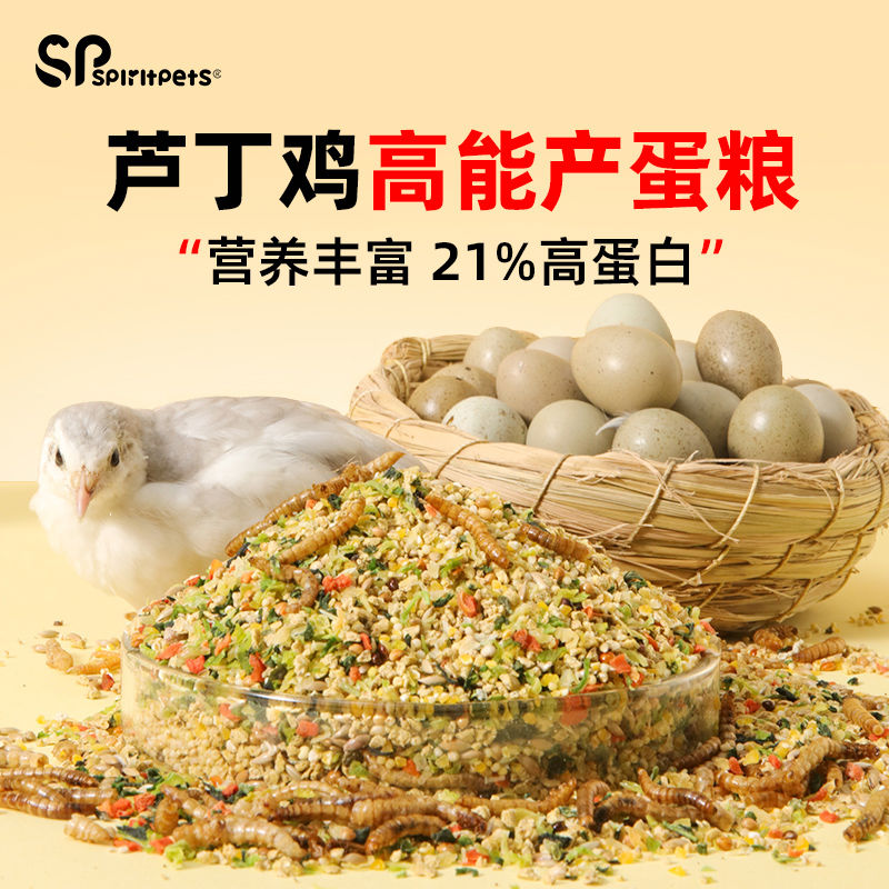 芦丁鸡专用产蛋饲料下蛋粮卢丁鸡小鸡幼鸡开口育雏食物粮食零食