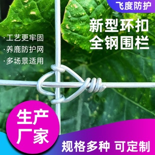 热镀锌铁丝鹿网现货厂家圈地养羊草原网防锈环绕型护栏网Y型立柱