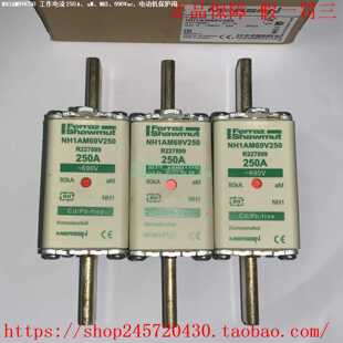 NH1AM69V80NH1AM69V100NH1AM69V125NH1AM69V160MERSEN熔断器