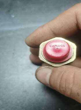 询价CAPLUGS压力开关一只的，的联系我吧