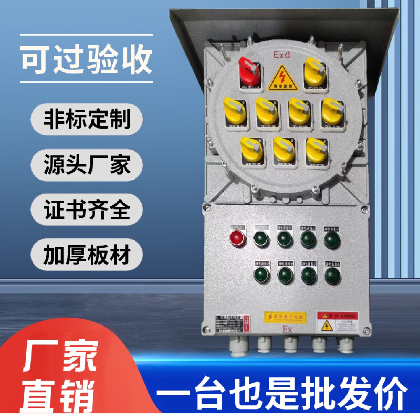 304不锈钢防爆配电箱控制按钮接线检修照明开关插销触摸屏仪表箱