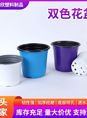 彩色双色盆白色绿色蓝色紫色双色花盆加厚育苗杯一次性塑料花盆