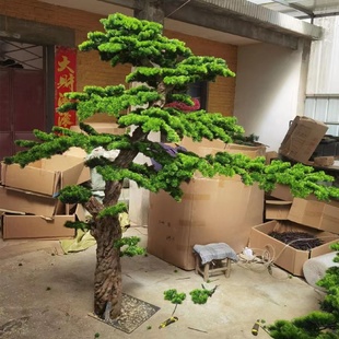 饰 特惠仿真迎客松罗汉松美人松景观植物摆件假松树商场室内装