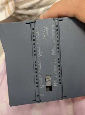 西门子223-1bl30-0xb0，实拍包好，实价，测试过了--议价商品