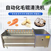 芋头毛辊清洗机 材毛辊去泥清洗机 莲藕毛辊去皮清洗设备