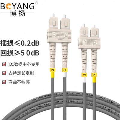 博扬（BOYANG）BY-K20112M 电信级铠装光纤跳线sc-sc 20米多模双