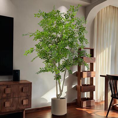 仿真绿植榆钱树室内大型装饰摆件店铺橱窗金钱榕落地盆栽仿生植物