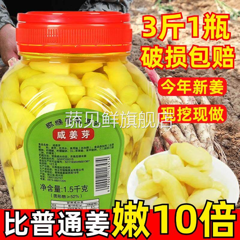 姜嫩芽泡姜嫩姜四川枸杞泡姜嫩姜牙生姜嫩芽无蔗糖新鲜腌制