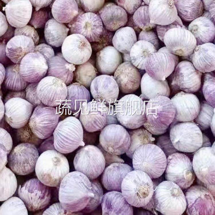 云南大理独头蒜紫皮大蒜新鲜大蒜头现挖蒜独蒜3斤紫红皮独瓣蒜新