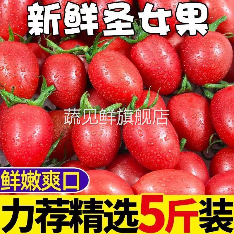 25山东千禧圣女果新鲜小番茄现摘现发应季樱桃番茄小柿子新鲜水果