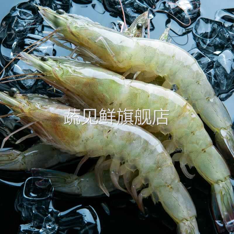 大虾鲜活速冻超大青岛基围虾特大冷冻海虾青虾白虾类海鲜水产无冰