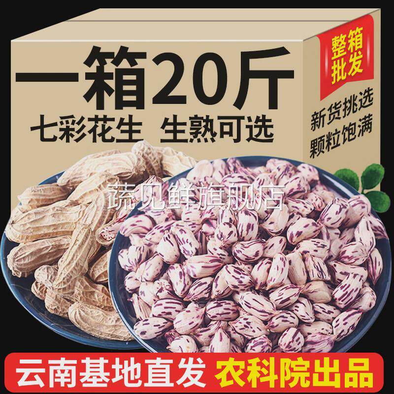 2024新云南七彩野地花生晒干带壳生熟彩色花生七彩花生米种子