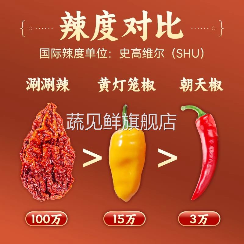 涮涮辣干辣椒50g 云南特产特辣变态辣魔鬼断魂椒干货巨辣龙息辣椒