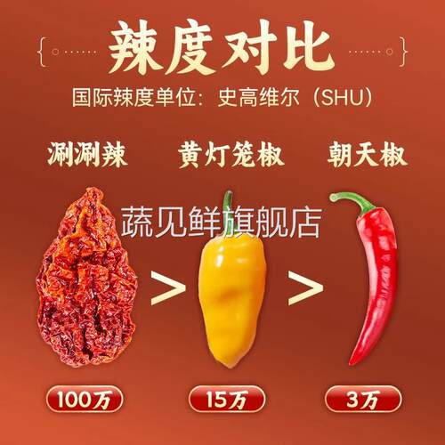 涮涮辣干辣椒50g 云南特产特辣变态辣魔鬼断魂椒干货巨辣龙息辣椒