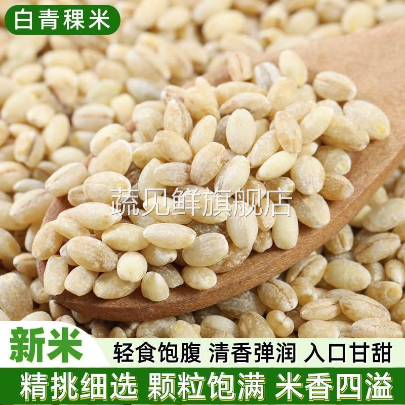 2024白青稞米新米500g 营养糙米健康主食五谷杂粮粥米早餐粗粮饭