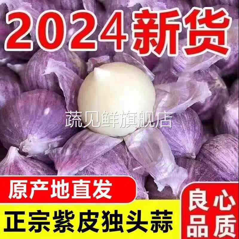【带头降价】云南紫皮独头蒜大蒜新干蒜红皮四季可种圆头蔬菜新货