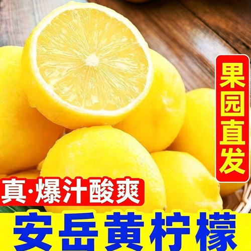 四川安岳黄柠檬新鲜皮薄多汁鲜果