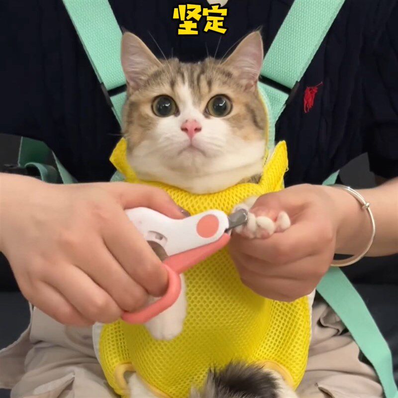 猫包外出便携猫咪背带胸前包狗狗猫兜遛猫袋抱猫神器宠物双肩背包