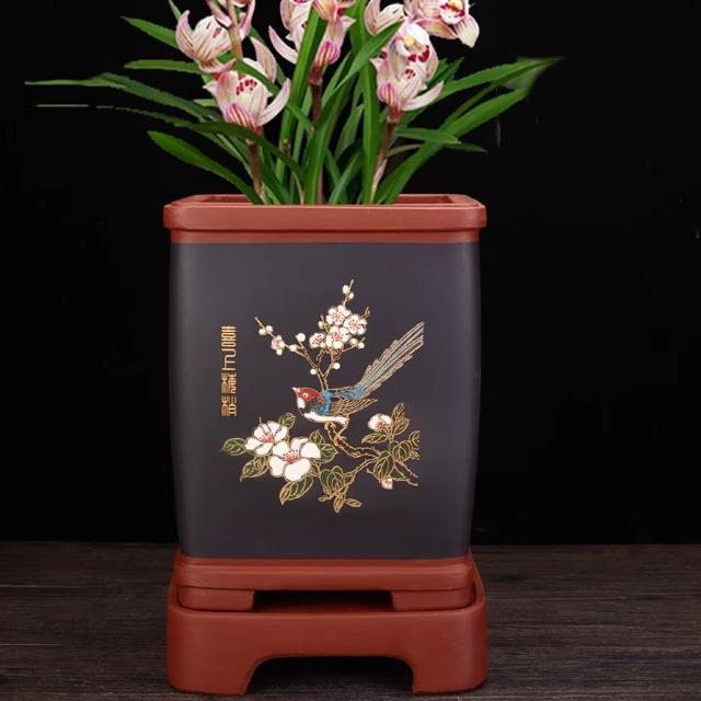 紫砂兰花盆精品陶瓷大号四方手工点彩客厅古典高档盆蝴蝶兰专用盆