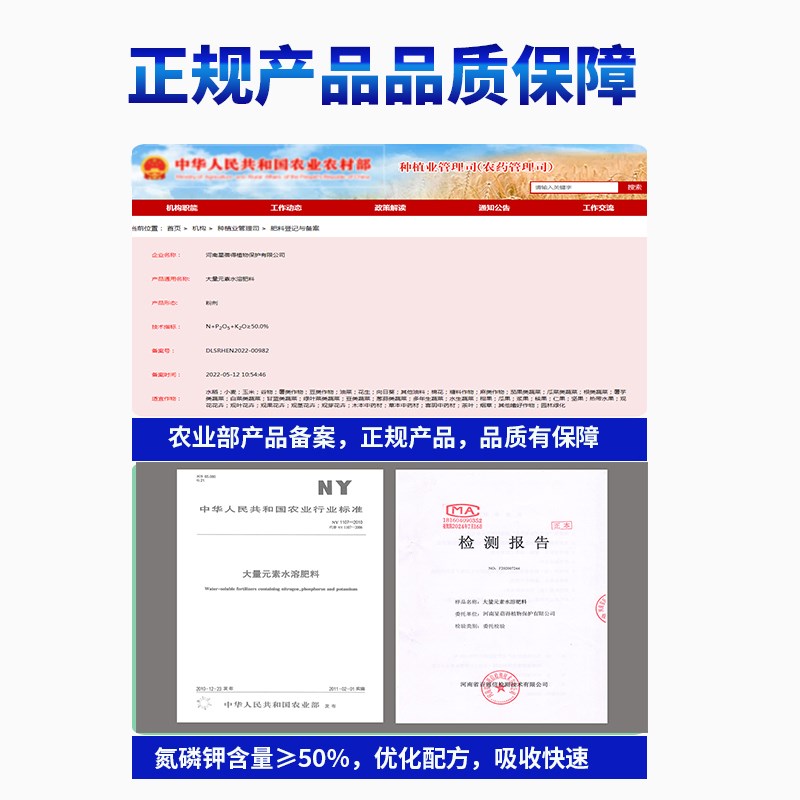 油画婚礼吊兰专用营养肥紫露兰盆景庭院室内造景植物四季养护用肥