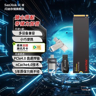 U盘套装 闪迪m2固态硬盘1t笔记本电脑SSD台式 机高速1tb存储NVMe