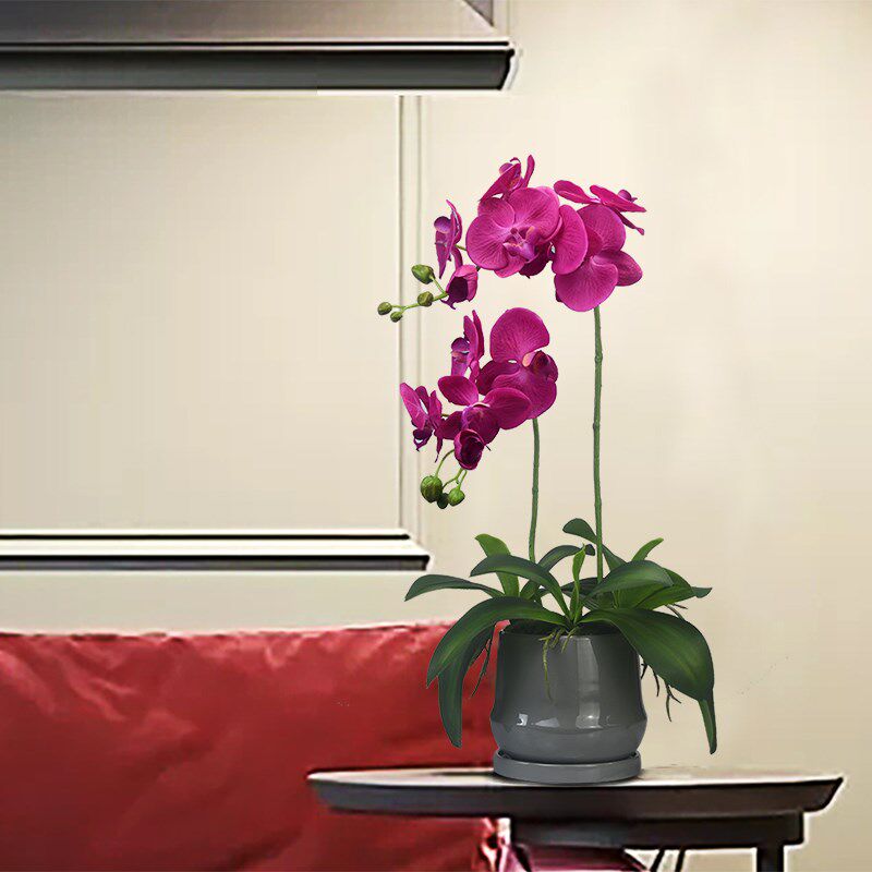 蝴蝶兰仿真花高档手感兰花盆栽花艺摆件客厅玄关茶几婚庆装饰假花