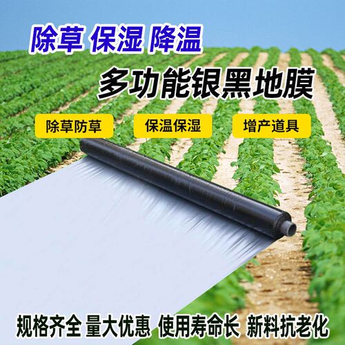 农用地膜加厚银黑双色反s光膜果树玉米瓜果辣椒除草除去蚜虫银光